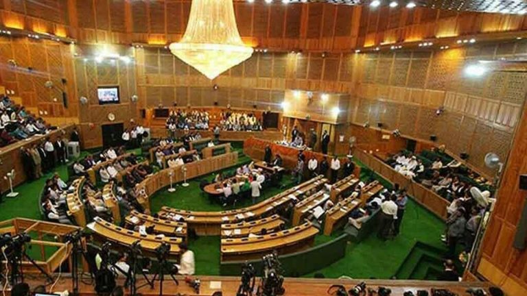 Financially, administratively empowered LG system demanded in Azad Kashmir